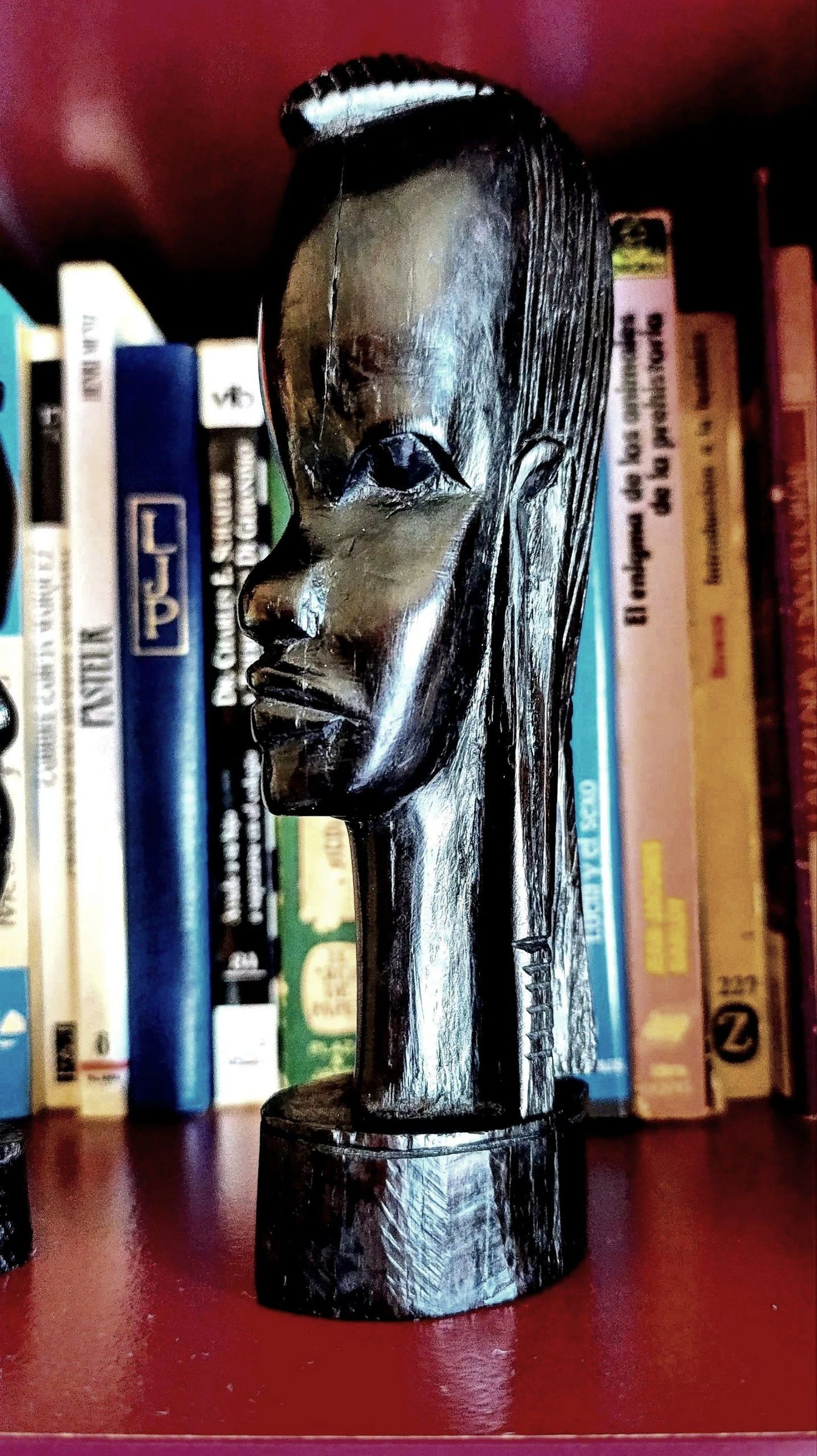 Bustos africanos – photo 2